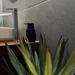 Apartment Ovio
